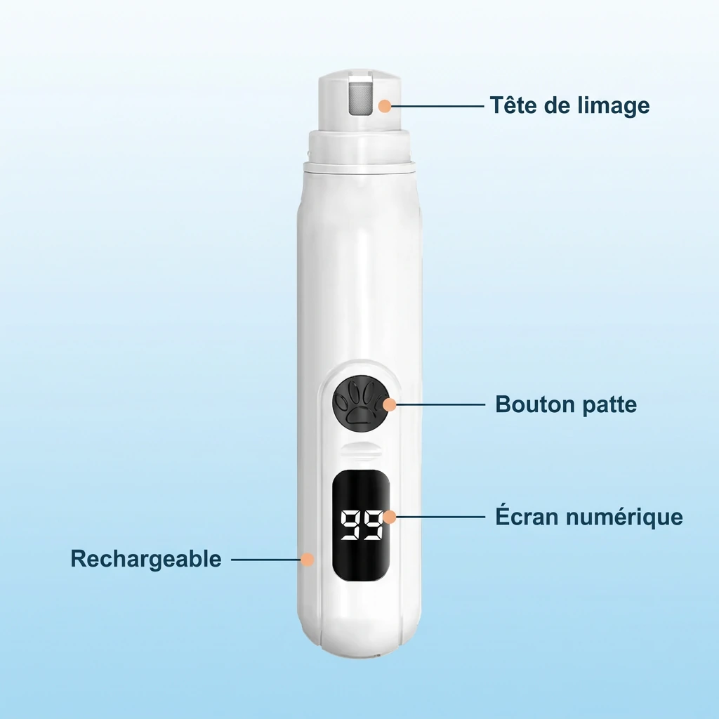Détails de Lime Pro : tête de limage, bouton patte, écran numérique et recharge